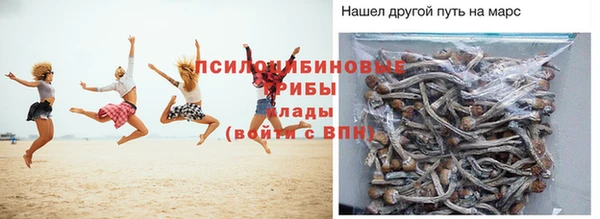 скорость Абаза