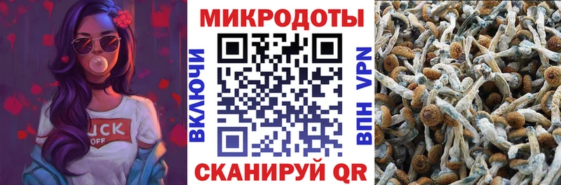 Псилоцибиновые грибы Cubensis Альметьевск