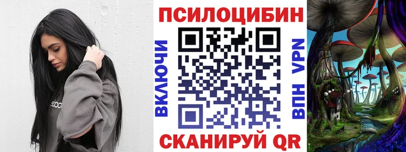 где найти   Альметьевск  Псилоцибиновые грибы Cubensis 