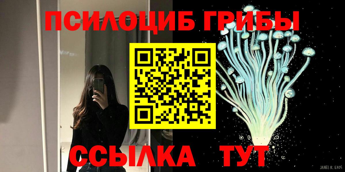 Галлюциногенные грибы Cubensis Альметьевск