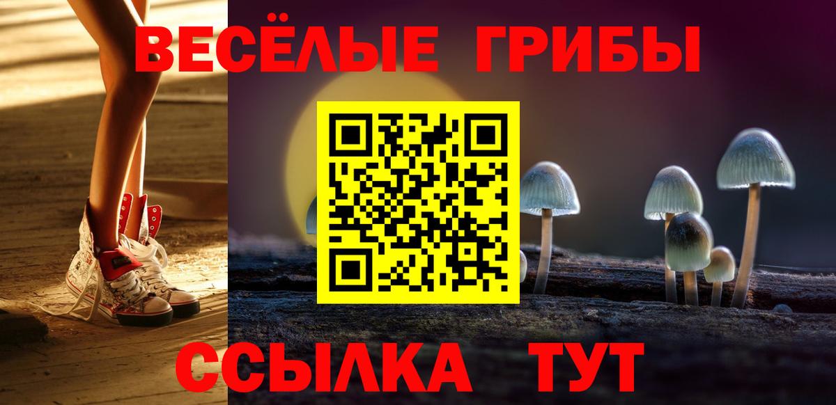 Псилоцибиновые грибы Psilocybine cubensis  Вход с VPN  Альметьевск 